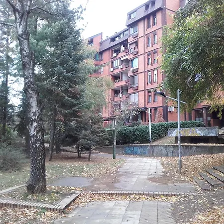 Breeze * Zarkovo
